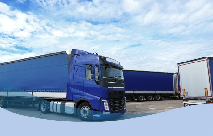 Attestazione di Capacità Finanziaria